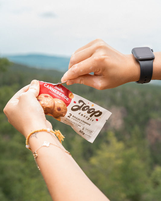 Paquet 2 boules d'énergie canneberges